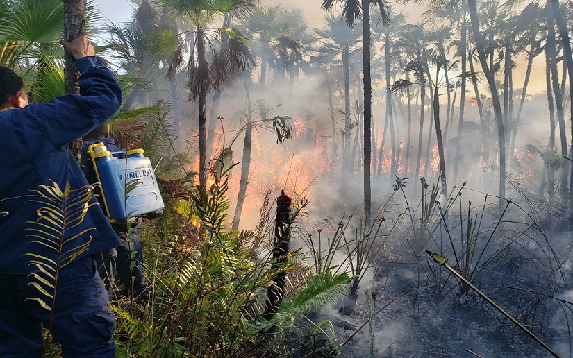 Ejército de Nicaragua participa en sofocación de incendio en Corn Island