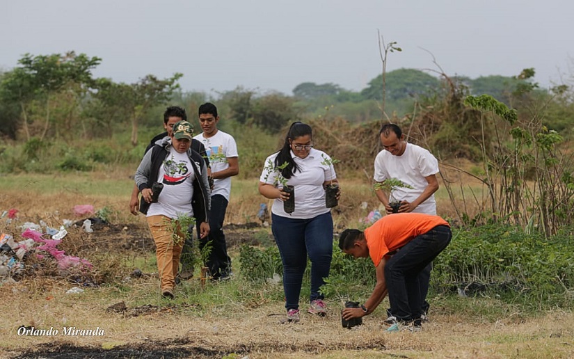 Siembran más árboles para promover la paz y la vida en Nicaragua