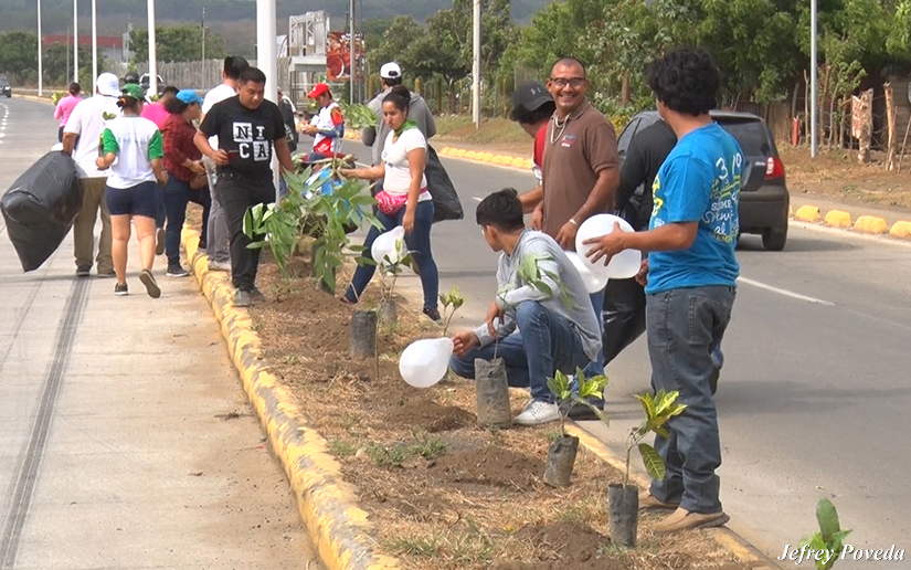 Nicaragua: Continúa jornada de reforestación en los 19 departamentos y 153 municipios