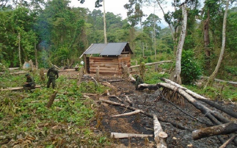 Batallón ecológico acompaña a Marena en el Parque Nacional Cerro Saslaya