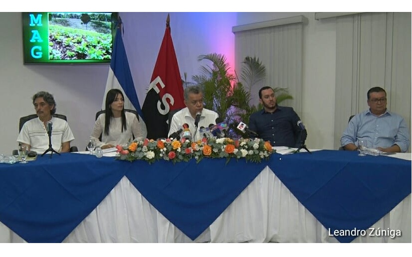 Mayo, mes de la siembra y esperanza en Nicaragua