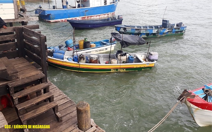 Detienen 21 personas por pesca ilegal de pepino de mar en Puerto Cabezas