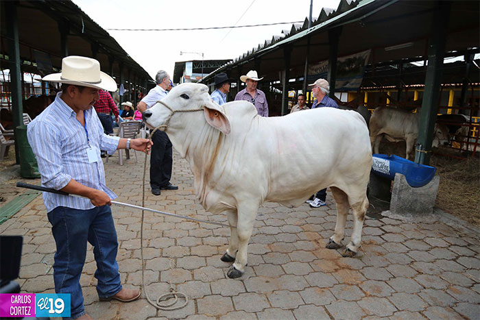 Cierra Feria Expica 2013