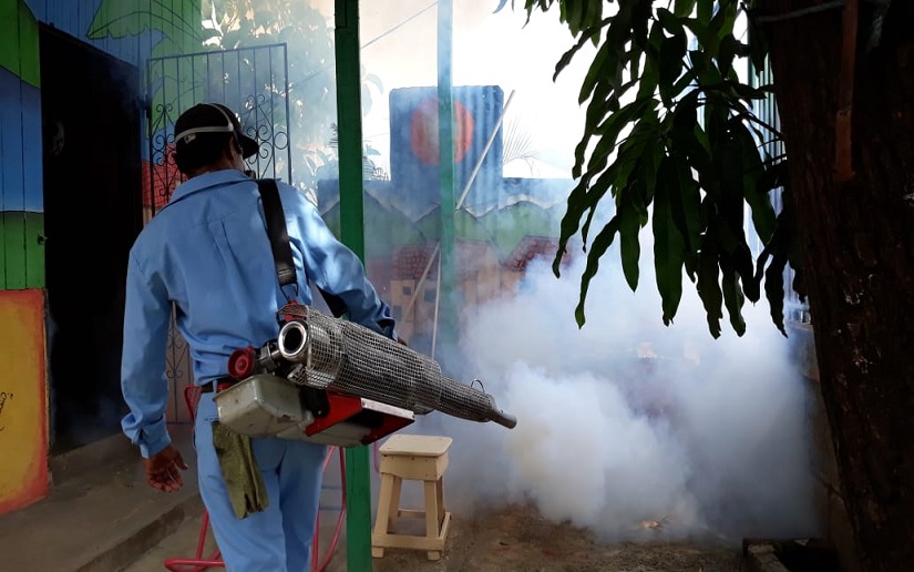 Minsa combate el ciclo reproductor de los mosquitos