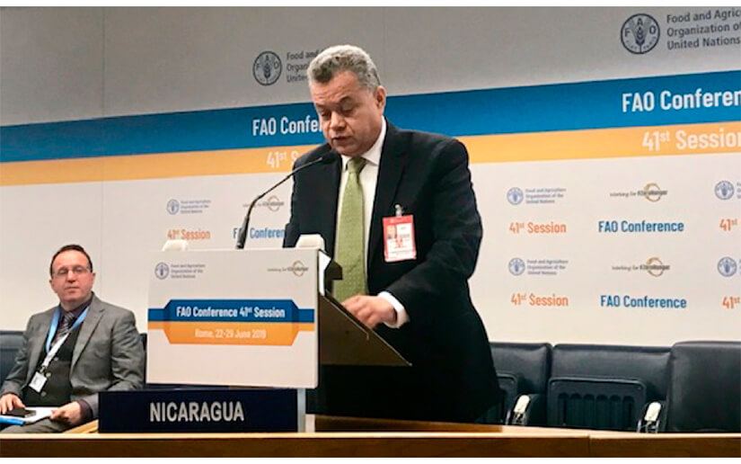 Nicaragua presente en la 41 Conferencia de la FAO