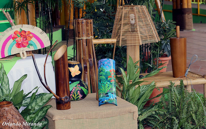 Feria de los Cultivos y las Artesanías de Bambú en el Parque de Nacional de Ferias