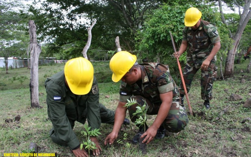 Ejército de Nicaragua participa en jornada nacional de reforestación