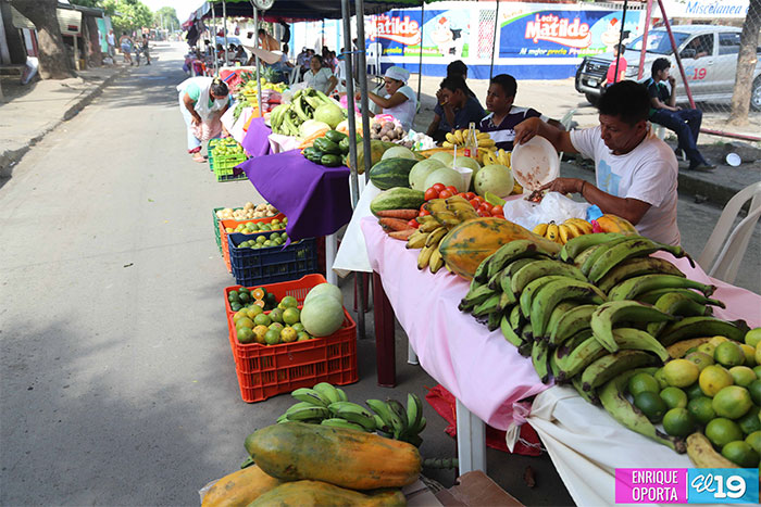 Familias participan en feria solidaria en Distrito VI