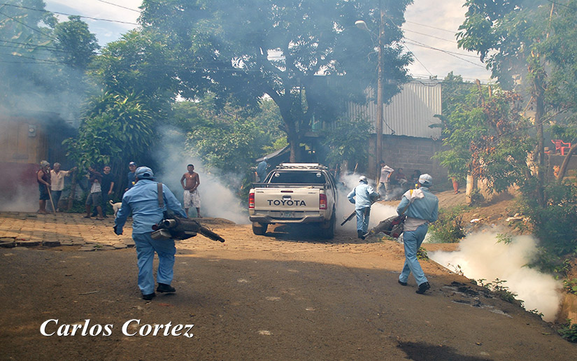 Lucha contra los mosquitos se extiende en cada barrio de Managua