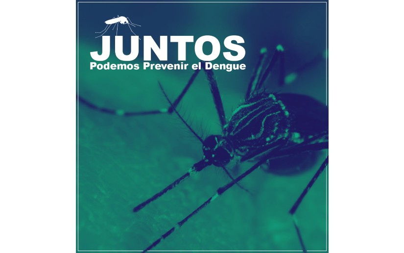 Conozca el informe de avance en la lucha contra el dengue en Nicaragua