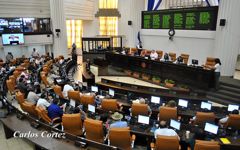Asamblea Nacional amplía período de Comisión de la Verdad, Justicia y Paz