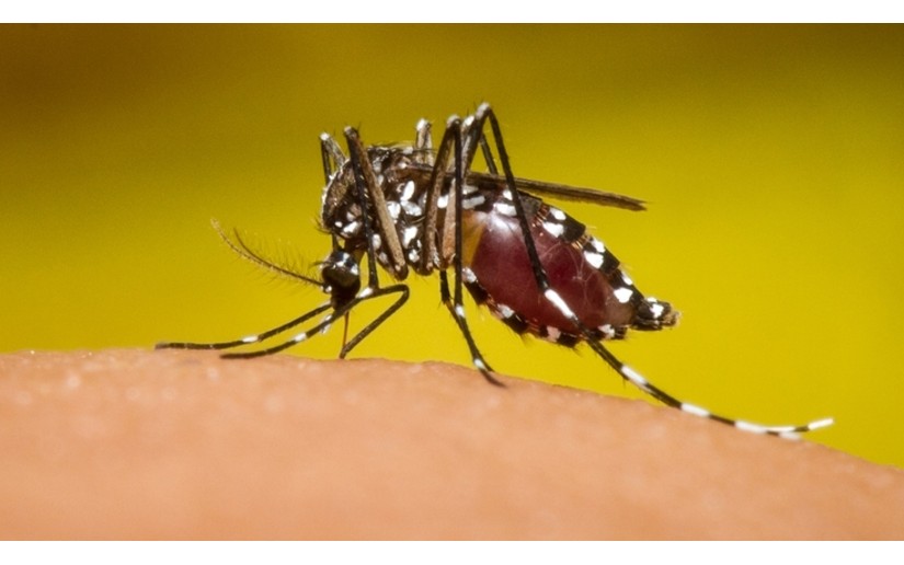 ¿Cuántos casos de dengue confirmados hay en Nicaragua?