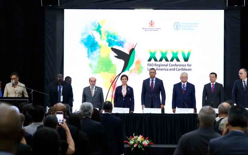 Misión de la FAO se encuentra preparando la 36 Conferencia Regional en Nicaragua 