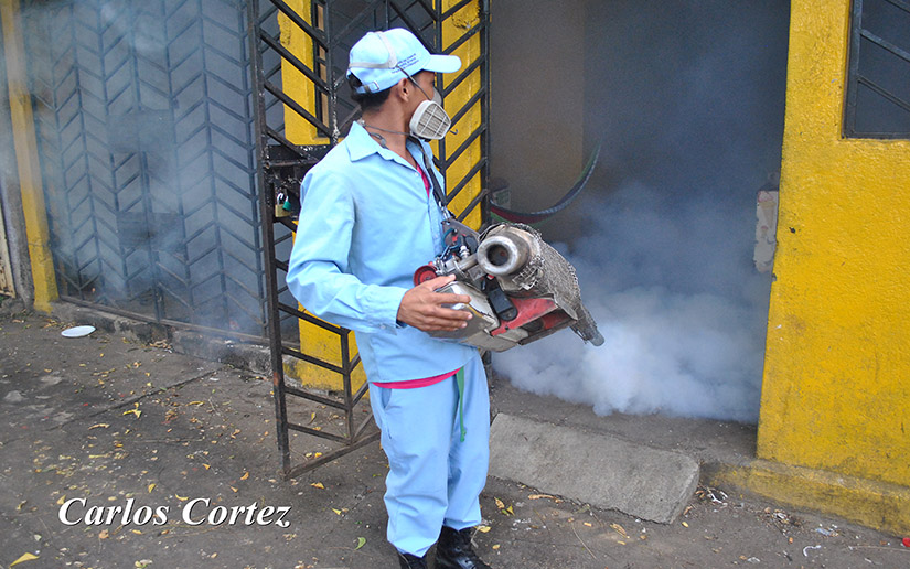 Minsa ha realizado 500 mil visitas casa a casa en la lucha contra el dengue