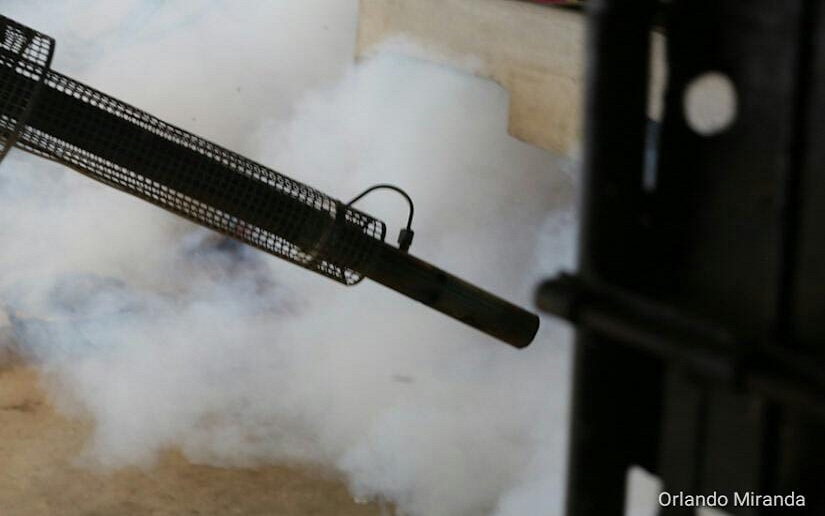 Destacan contención de casos positivos de dengue en Nicaragua