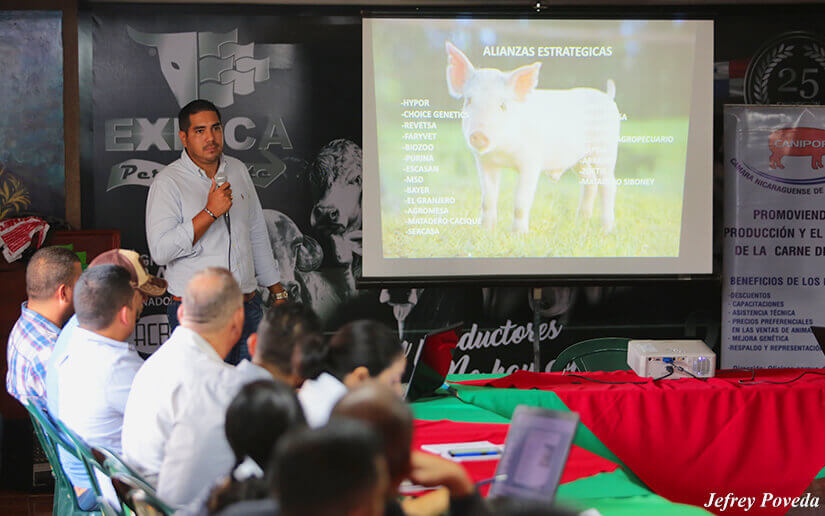 Realizan encuentro de porcicultores