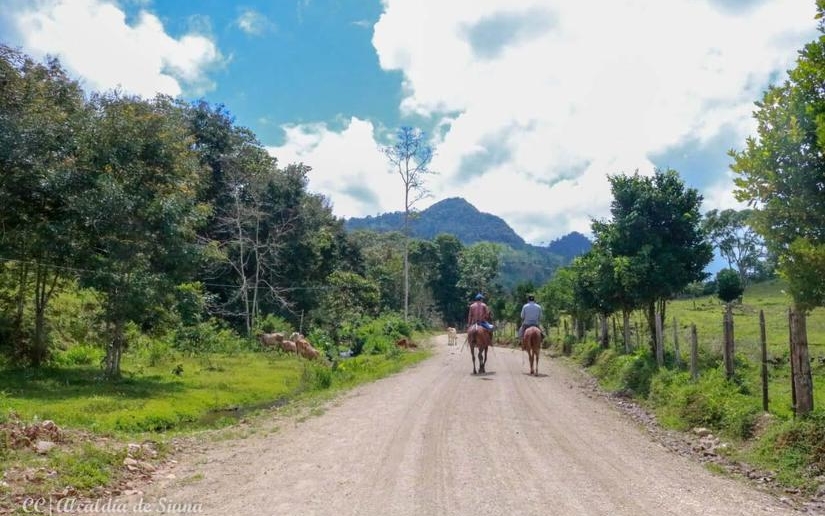 (+Fotos) Inauguran rehabilitación de carretera en Siuna