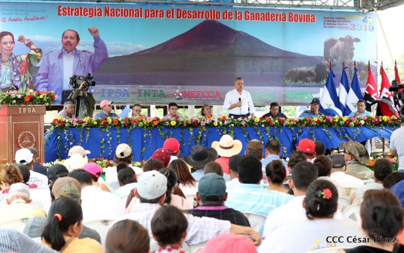 Gobierno de Nicaragua realiza lanzamiento de Estrategia Nacional de la Ganadería Bovina