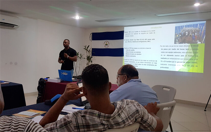 Pescadores de langosta mejoran técnicas en el Caribe nicaragüense