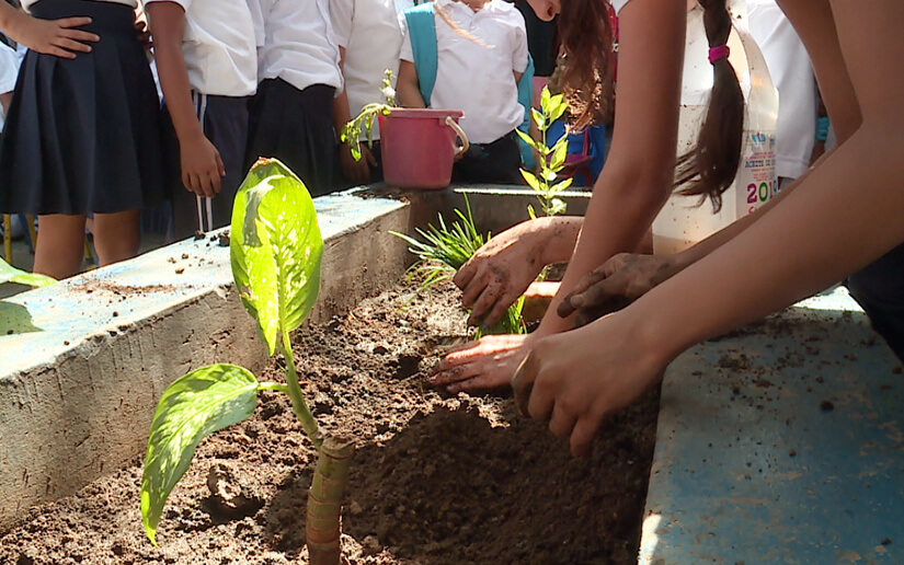 Realizan jornada de siembra de árboles en colegio Hugo Chávez en saludo a las Fiestas Patrias