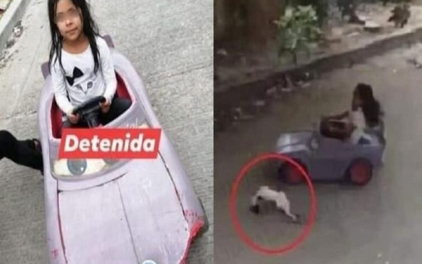 Viral: Niña conduce auto de juguete y atropella a gato callejero