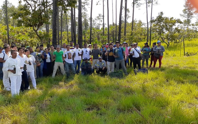(+ Fotos) Conmemoran al General Benjamín Zeledón con Jornada de Reforestación en Prinzapolka