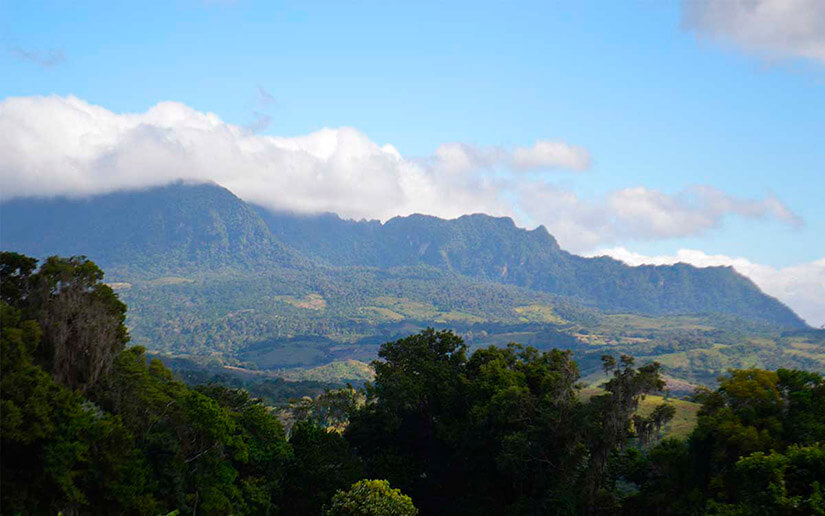 Nicaragua invertirá 110 millones de dólares en la Reserva de Biósfera Bosawás
