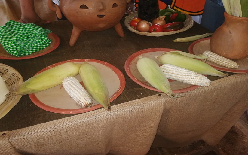 Concluye Feria del Maíz con la premiación de los tres primeros lugares en gastronomía