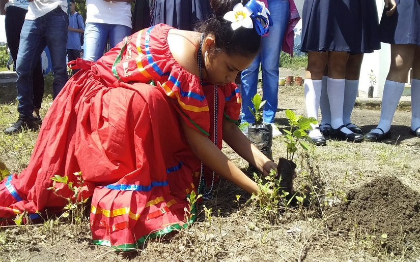 Colegio José Ramón Suárez: Jóvenes ambientalistas realizan siembra de árboles