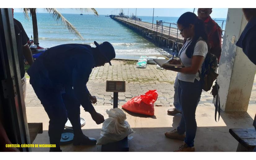 Fuerza Naval ocupó pepino de mar transportado de manera ilegal 