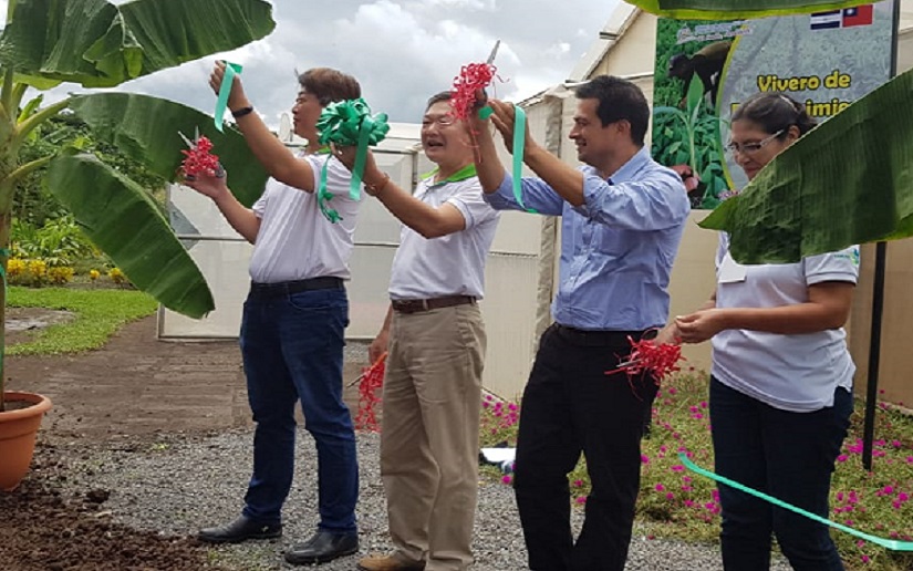 Inauguran cuatro invernaderos para aclimatización de plantas de plátanos en Nicaragua