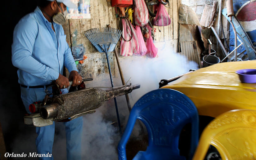 Ministerio de Salud insta a no bajar la guardia ante enfermedades provocadas por mosquitos