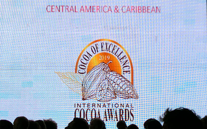 Cacao nicaragüense en el Top 50 de los mejores en el mundo