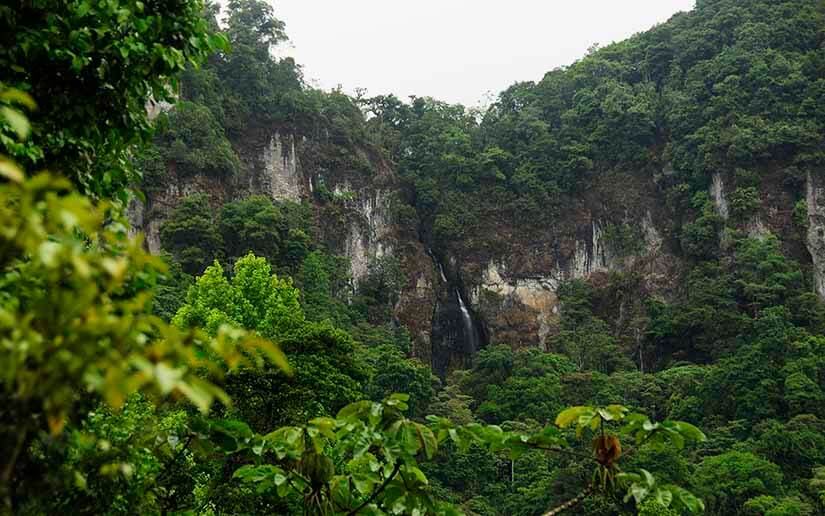 Nicaragua creará 34 Parques Ecológicos como áreas de conservación
