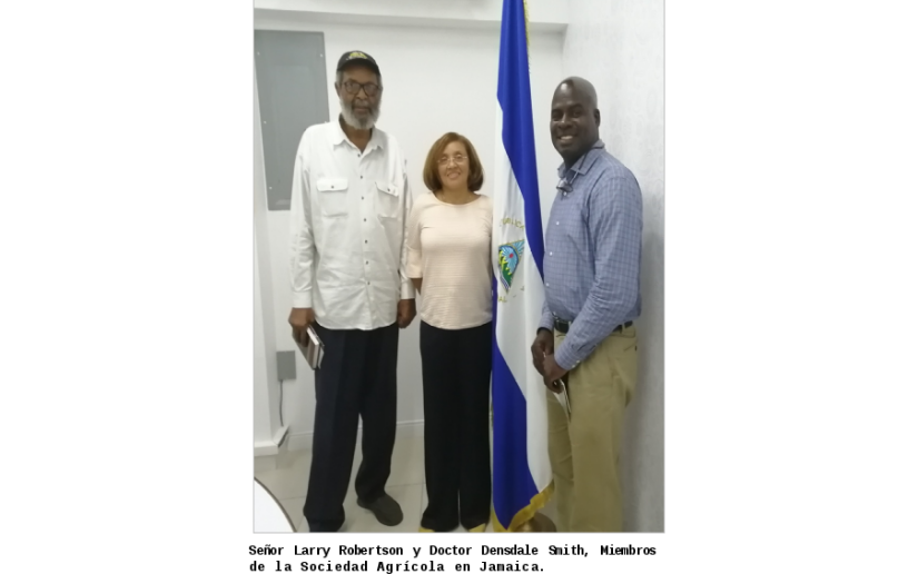Directivos de sociedad agrícola visitaron embajada de Nicaragua en Jamaica