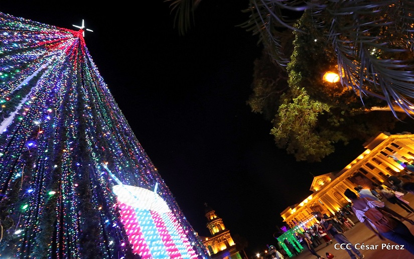 Encienden Árbol de Navidad más grande de Nicaragua en la Plaza de la Revolución