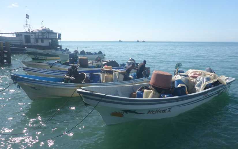 Fuerza Naval retiene seis pangas y ocupa pepino de mar