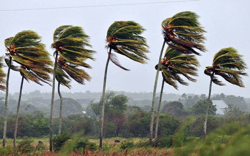 Entrada de nuevo frente frío incrementará fuertes vientos en Nicaragua