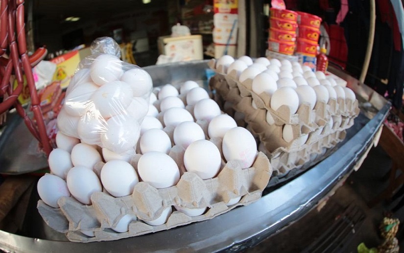 Nicaragua: Mayor producción de carne de pollo y huevos durante el 2019
