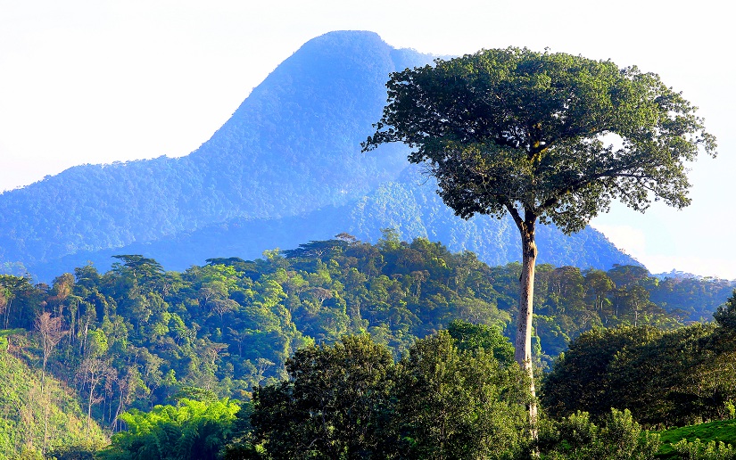 Marena e Inafor promueven la conservación y cuido de los recursos naturales