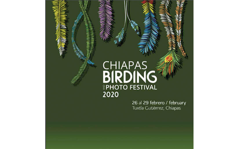 Chiapas Birding and Photo Festival 2020 abre convocatoria