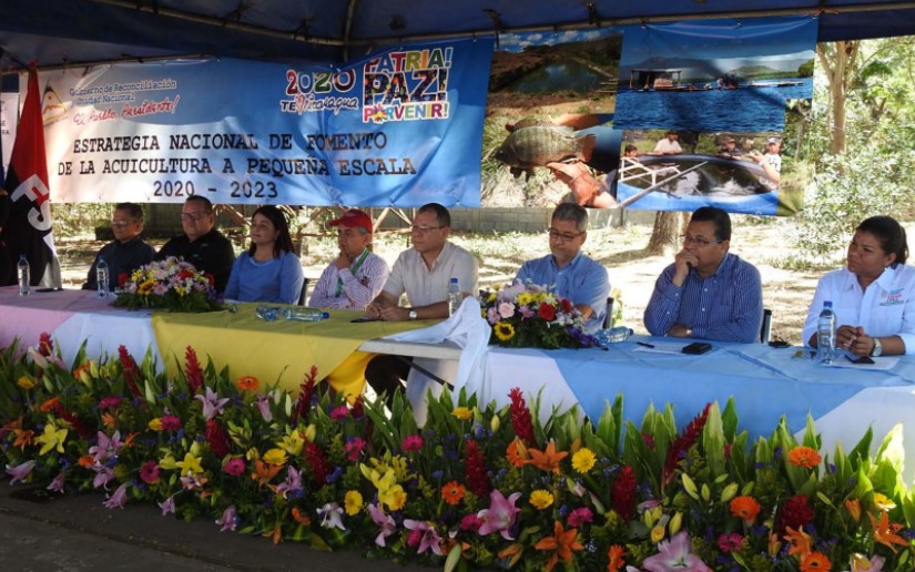 Nicaragua lanza Estrategia Nacional de Acuicultura