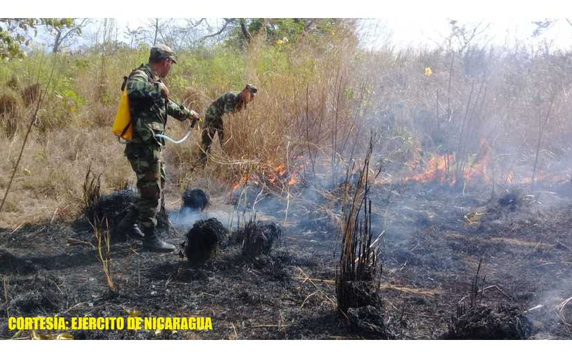 Ejército de Nicaragua sofoca incendios en dos fincas de Juigalpa