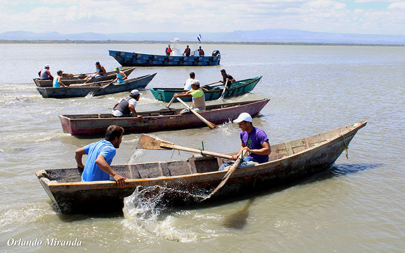 Tipitapeños disfrutan de competencia de botes de remo