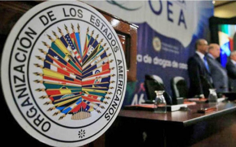 OEA: Zoocriadero de Golpes de Estados