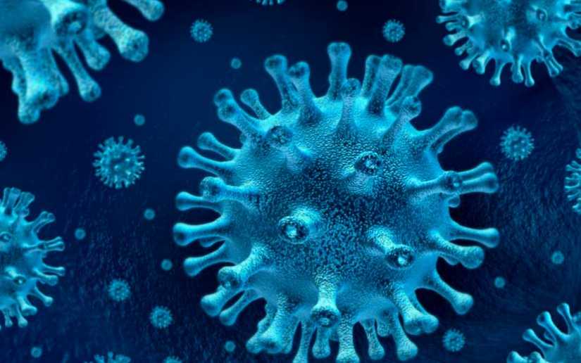 Informe 11: Centroamérica unida contra el Coronavirus/ Covid-19