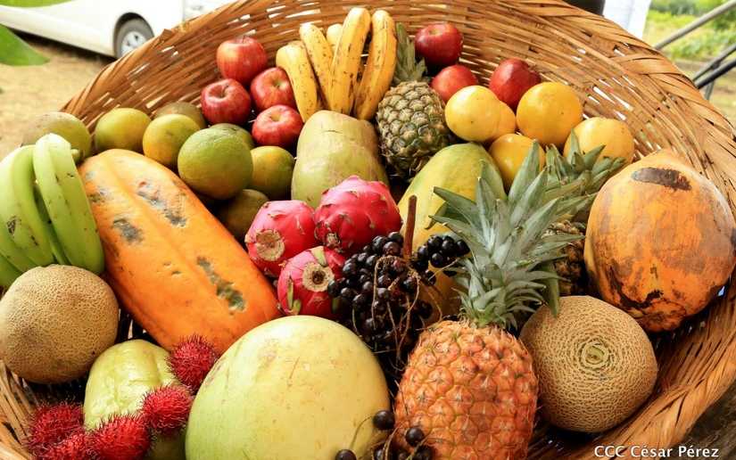 Buena producción de frutas y granos básicos garantizan abastecimiento del mercado nacional
