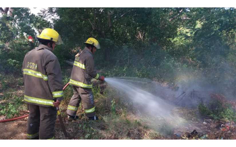 Bomberos y brigadistas sofocan incendio de 63 manzanas de malezas, pastos y bosques de pino