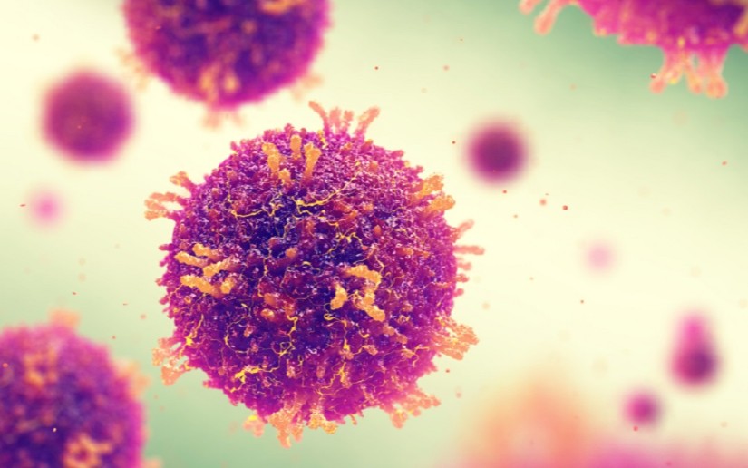 INFORME 16: Centroamérica unida contra el Coronavirus (COVID-19)