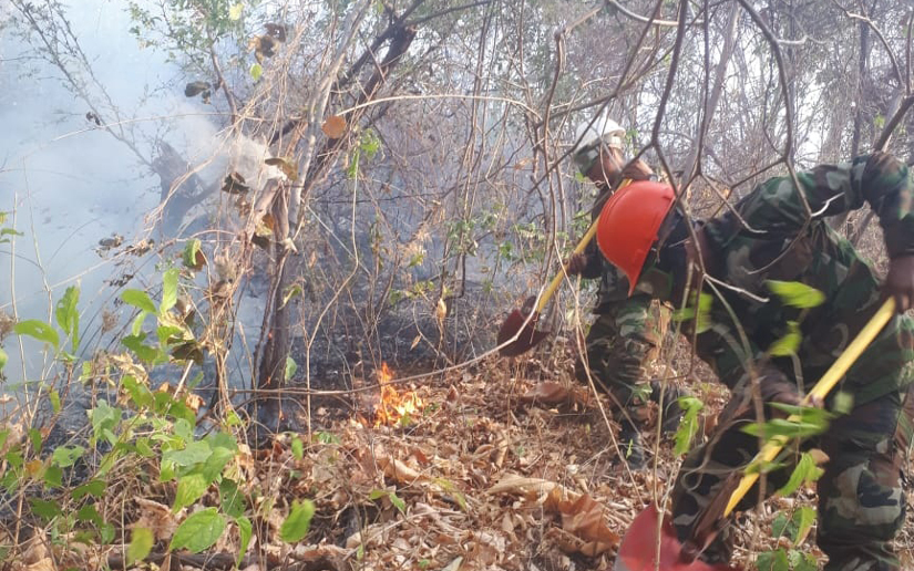 Ejército de Nicaragua sofoca incendio forestal en San Rafael del Sur